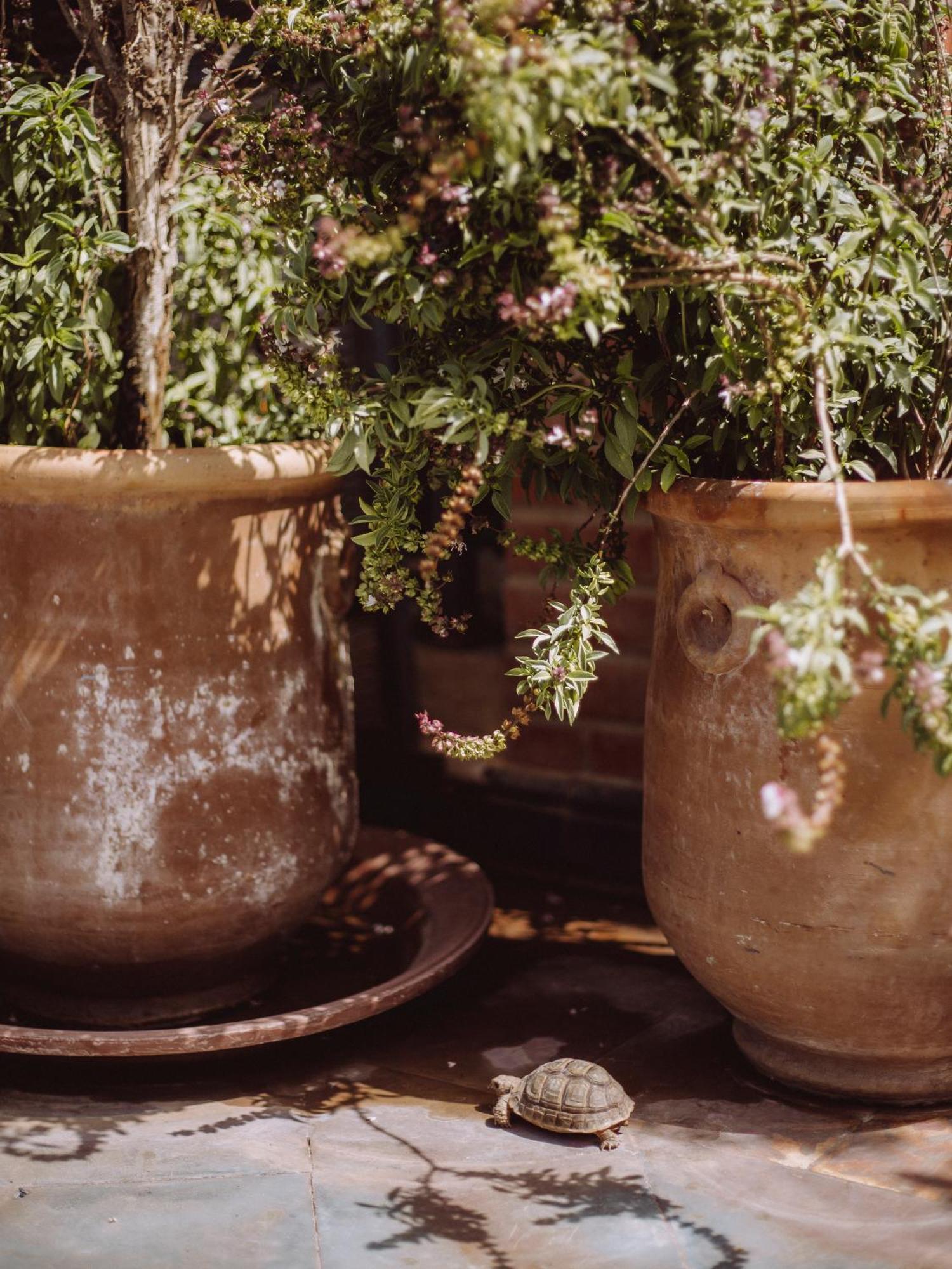 Le Petit Joyau Riad Marrakesh